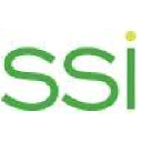 Strategic Solutions, Inc.