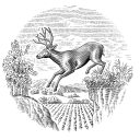 Fosters Wine Estates - Stags Leap Winery
