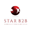 Star B2B Consulting Services LLC