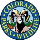 Cdot