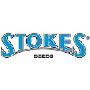Stokes Seeds