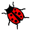 StreetGooser Tech Pvt. Ltd.