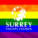 Surrey Fire and Rescue Service