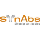 SYnAbs