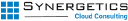 Synergetics Cloud Consulting