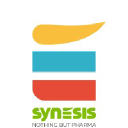 SYNESIS - Pharma Business Solution Provider