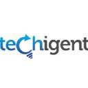 Techigent Technologies Pvt. Ltd.