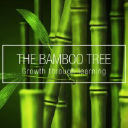 The Bamboo Tree, Pty Ltd