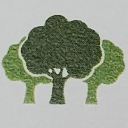 Thurston Woods Village Inc