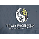 Team Phoenix LLC