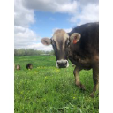 Traders Point Creamery