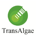 TransAlgae