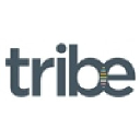 Tribe Strategic Accountants