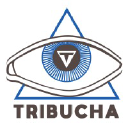 Tribucha