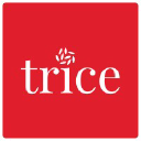 Trice Systems Private Limited