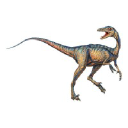 TROODON MEDIA