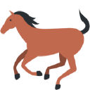 THERAPEUTIC RIDING OF TUCSON