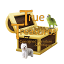 True Treasures Inc.