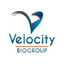 Velocity Biogroup Corp