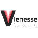 Vienesse Consulting