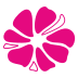 Vitroflora