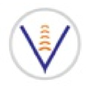 Vital Solutions International