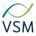 VSM Engineering LLC