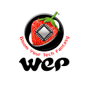 Wep Peripherals Limited