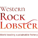 Western Rock Lobster