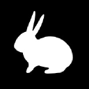 White rabbit