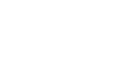 Wild About Collective