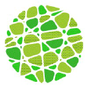 Wild Mosaic
