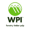 Winstone Pulp International Limited (WPI)