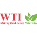 WTI Inc.