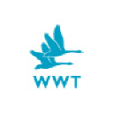 WWT (Wildfowl & Wetlands Trust)