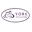 York Consulting