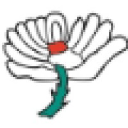 Yorkshire Cricket Foundation