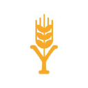 YouFlake GmbH