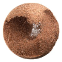 Zand