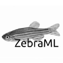 ZebraML