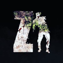 Zombie Infection