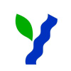 Yvw.com.au logo