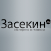 Zasekin.ru logo