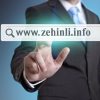 Zehinli.info logo