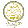 Zeninfosys.net logo