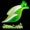 Zhwandoon.tv logo