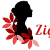 Zigzacmania.com logo