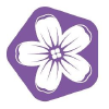 Zvetnoe.ru logo