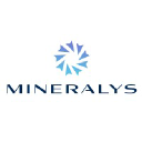Mineralys Therapeutics, Inc. Common Stock Logo