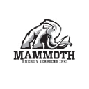 Mammoth Energy Services Inc Logo